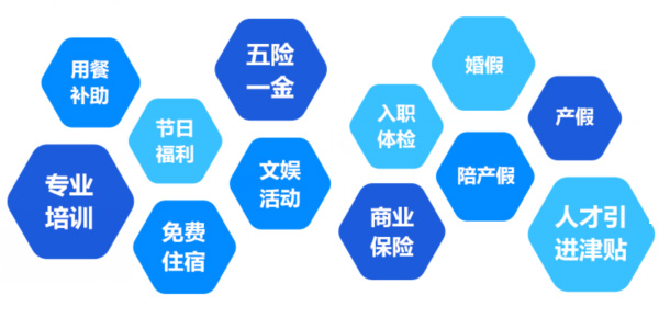 提供全面、系統(tǒng)、專業(yè)的培訓和廣闊的<br>職業(yè)發(fā)展空間和提升機會